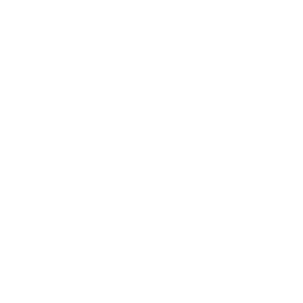 Botswana Nomads logo