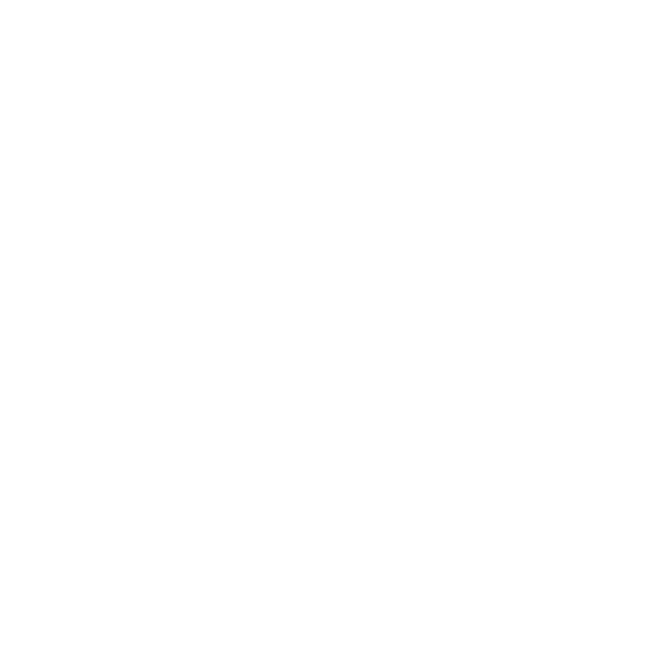 Botswana Nomads logo